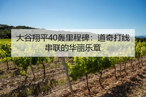大谷翔平40轰里程碑：道奇打线串联的华丽乐章